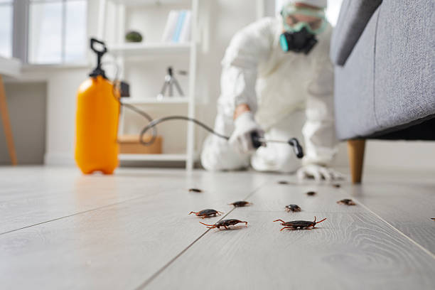 Commercial Kitchen Cockroach Control in Downingtown